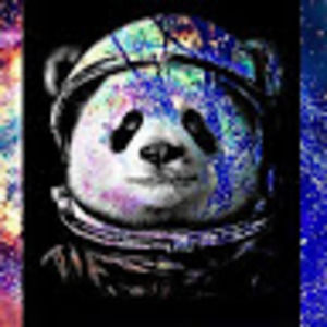 Meet your Posher, Evan